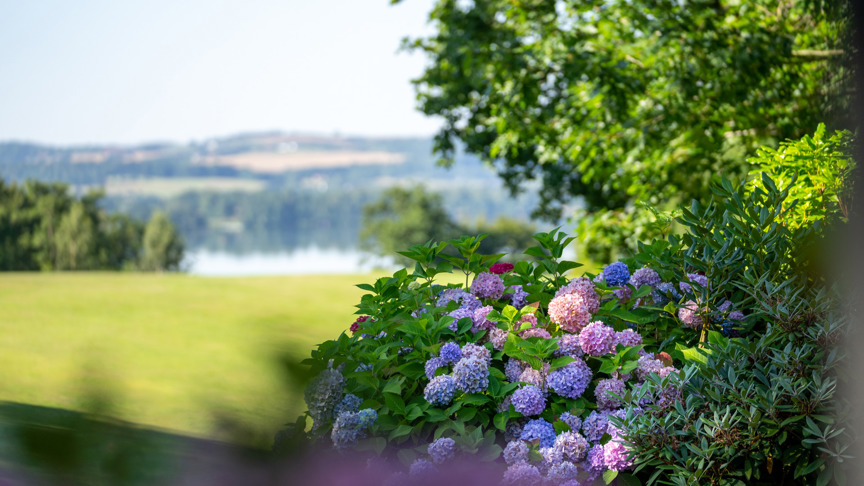 Skanderborg Park