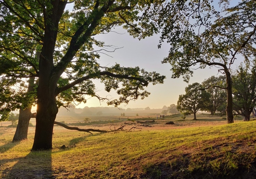 politikenfotovinder110819-sommerens-smukkeste-solnedgang-over-havaeng-i-oesterlen-ved-skaanes-oestkyst-foto-steen-bille