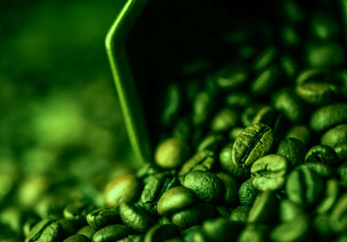 kaffegreen